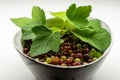 Red and green gooseberries in the glass bol Royalty Free Stock Photo