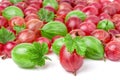 Red and green gooseberries with leaves isolated on white background Royalty Free Stock Photo