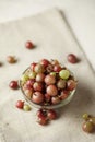 Red and green gooseberries, ripe berries on table in plate Royalty Free Stock Photo