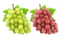 Red and green grape isolated on white background Royalty Free Stock Photo