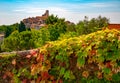 Red and green grape leaves and panoramic view of Saint-Paul-de-Vence town in Provence, France Royalty Free Stock Photo