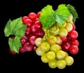 Red and green grapes with leaves look beautiful on a black background. Royalty Free Stock Photo