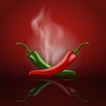 Red and green hot chili pepper with smoke Royalty Free Stock Photo