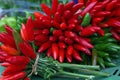 Red and green hot chili peppers close up Royalty Free Stock Photo