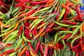 Red and green hot chilli pepper Royalty Free Stock Photo