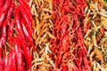 Red and green hot chilly peppers Royalty Free Stock Photo