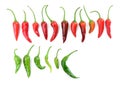 Red and green hot peppers arranged in line. Many red and green hot chili peppers on white background. Small short red