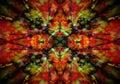 Red and green kaleidoscope pattern Royalty Free Stock Photo