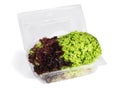 Red and Green Lettuse in Plastic Container