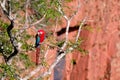 Red And Green Macaw, Ara Chloropterus, Buraco Das Araras, near Bonito, Pantanal, Brazil Royalty Free Stock Photo