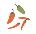 Red and green Mexican jalapeno and hot chili peppers. Whole hot spicy vegetables. Chilli veggies composition. Flat