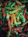 Red green orange spicy chilly