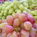 Red and green organic grapes closeup Royalty Free Stock Photo