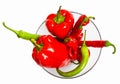 Red and green pepper composition Royalty Free Stock Photo
