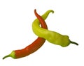 Red and green pepper embrace isolated