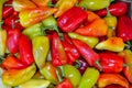 Red green pepper in a pile Royalty Free Stock Photo