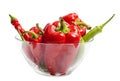 Red and green pepper in salad dish Royalty Free Stock Photo