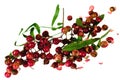 Red and green peppercorn berries on vine isolated