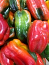 Red and Green peppers at farmers market Royalty Free Stock Photo