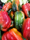 Red and Green peppers at farmers market Royalty Free Stock Photo