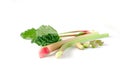 Red and green rhubarb stalks with leaves, rhubarb pieces isolated on a white background. Fresh useful plant from the Royalty Free Stock Photo