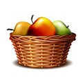 Red and green ripe apples in the basket.