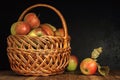 Red-green ripe apples in a wicker basket on an old wooden table against a background of black plaster. side view. autumn Royalty Free Stock Photo