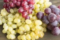 Red and Green Seedless Grapes Royalty Free Stock Photo