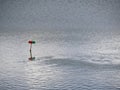 Red and Green Sign for Boats Traffic Visible on Water Surface