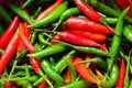 Red and green thai chillies pepper
