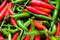 Red and green thai chillies pepper Royalty Free Stock Photo