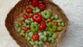 Red and green tomatoes are placed in woven bamboo or besek containers. Small tomatoes. Selective focus. Royalty Free Stock Photo