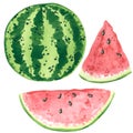 Red green watermelon clipart set. Hand drawn watercolor illustration Royalty Free Stock Photo