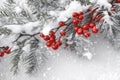 christmas berry green red tree winter branch decoration celebration holiday tree. Generative AI.