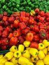 Red, green and yellow bell pepper capsicum displayed for sell in fresh market Royalty Free Stock Photo