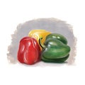 Red-Green-Yellow Bell Peppers Acrylic Painting Art On Gray Background Royalty Free Stock Photo