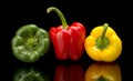 Red,green,yellow bell peppers isolated on black Royalty Free Stock Photo