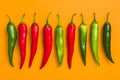 Red, green and yellow chili peppers isolated on yellow background. Hot spicy food ingredient Royalty Free Stock Photo