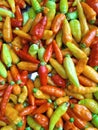 Red green and yellow chilies Royalty Free Stock Photo