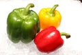 Red, green and yellow colored bell pepper Royalty Free Stock Photo