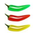 Red, green and yellow hot natural chili pepper pod realistic vector illustration. Royalty Free Stock Photo