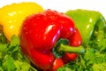 Red green yellow pepper Royalty Free Stock Photo