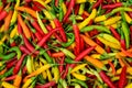 Red, green and yellow peppers Royalty Free Stock Photo