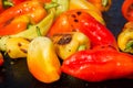Red,green,yellow peppers on a grill Royalty Free Stock Photo