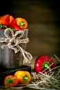 Red, green and yellow sweet bell peppers on the table, close up. Harvest Festival. Autumn background. Selective focus Royalty Free Stock Photo