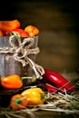 Red, green and yellow sweet bell peppers on the table, close up. Harvest Festival. Autumn background. Selective focus Royalty Free Stock Photo