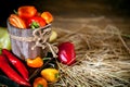 Red, green and yellow sweet bell peppers on the table, close up. Harvest Festival. Autumn background. Selective focus Royalty Free Stock Photo