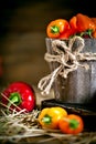 Red, green and yellow sweet bell peppers on the table, close up. Harvest Festival. Autumn background. Selective focus Royalty Free Stock Photo