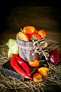 Red, green and yellow sweet bell peppers on the table, close up. Harvest Festival. Autumn background. Selective focus Royalty Free Stock Photo