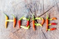 Red and greenchili pepper composed in the form of hope Royalty Free Stock Photo